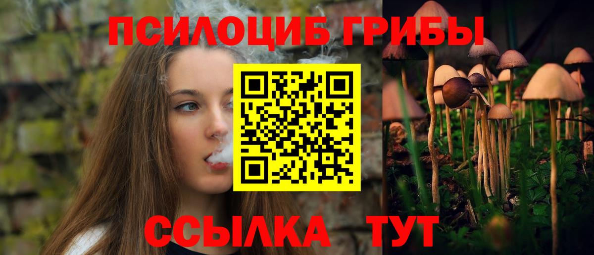 где купить наркотик  Вход с VPN  Галлюциногенные грибы мицелий  Великий Новгород  Псилоцибиновые грибы MAGIC MUSHROOMS 