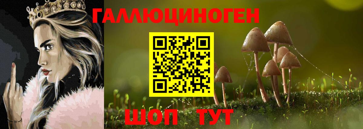Псилоцибиновые грибы мицелий Великий Новгород