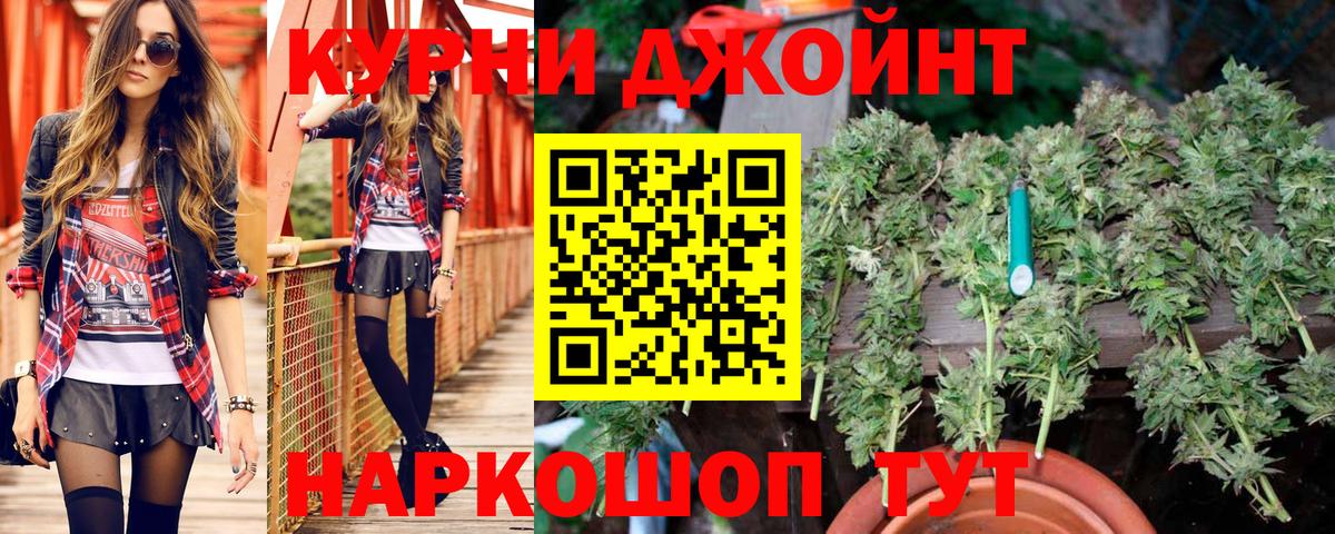 Конопля гибрид  Вход с VPN  Шишки марихуана LSD WEED  Канабис конопля  Великий Новгород 